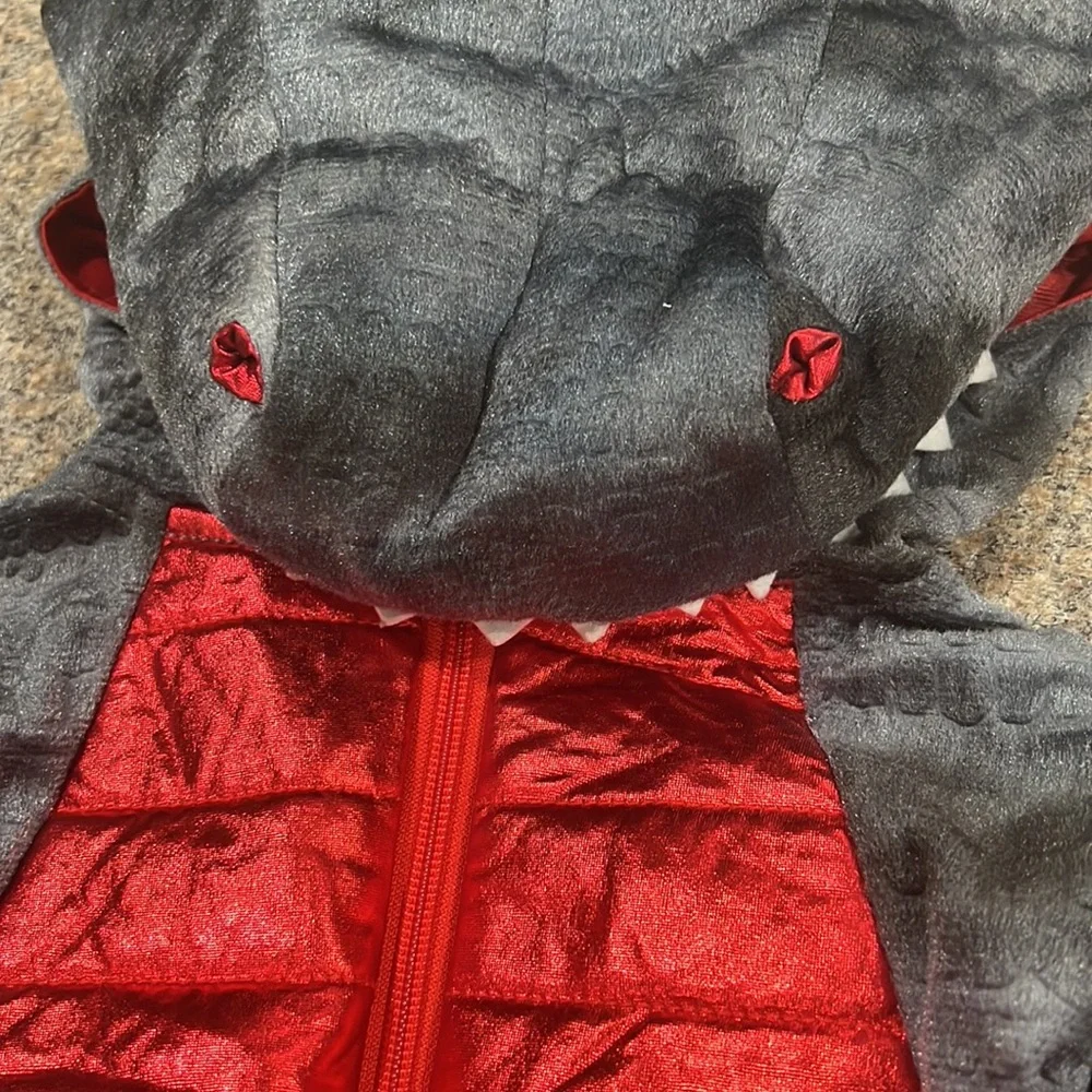 Ministry of Rascal dragon costume size 2T